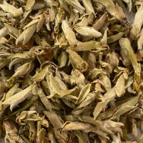 Ya Bao Wilde Teeknospen - Chinesischer Grüner Tee